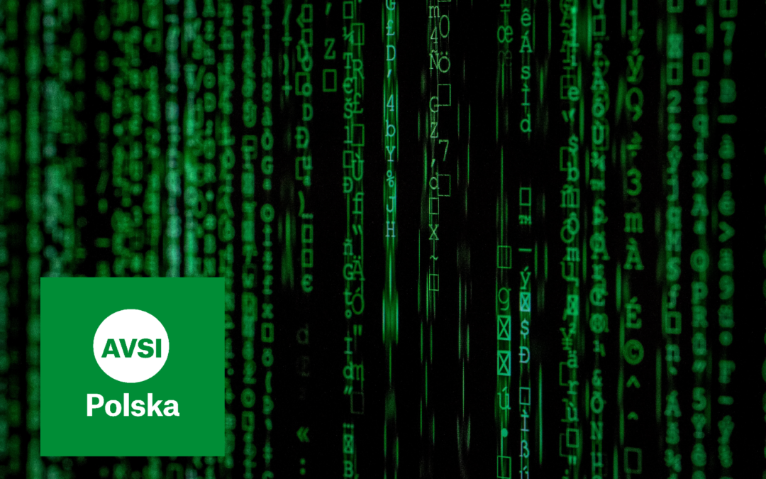 Wzmacnianie pozycji organizacji pozarządowych dzięki cyberbezpieczeństwu i sztucznej inteligencj